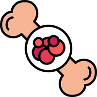 Bone & Joint Disorders